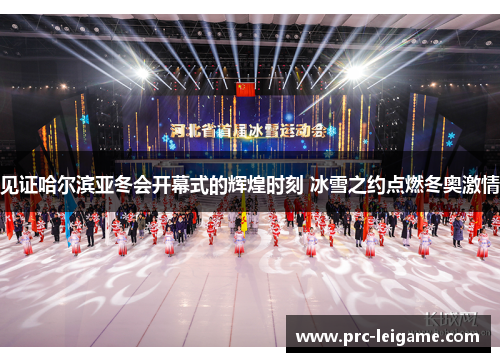见证哈尔滨亚冬会开幕式的辉煌时刻 冰雪之约点燃冬奥激情