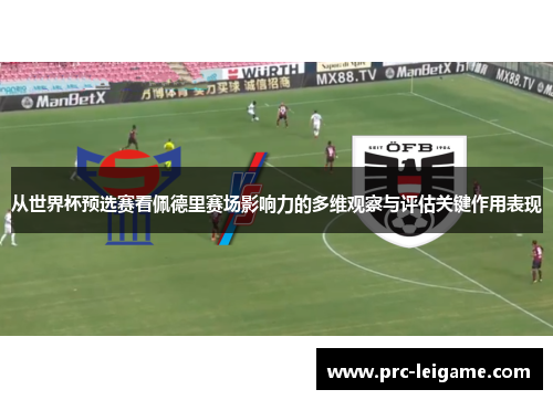从世界杯预选赛看佩德里赛场影响力的多维观察与评估关键作用表现 从世界杯预选赛看佩德里赛场影响力的多维观察与评估关键作用表现