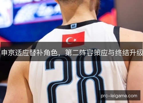 申京适应替补角色，第二阵容策应与终结升级